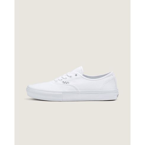 Tenis Mn Skate Authentic